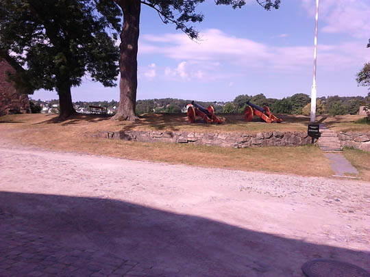 IMG_20140722_102731